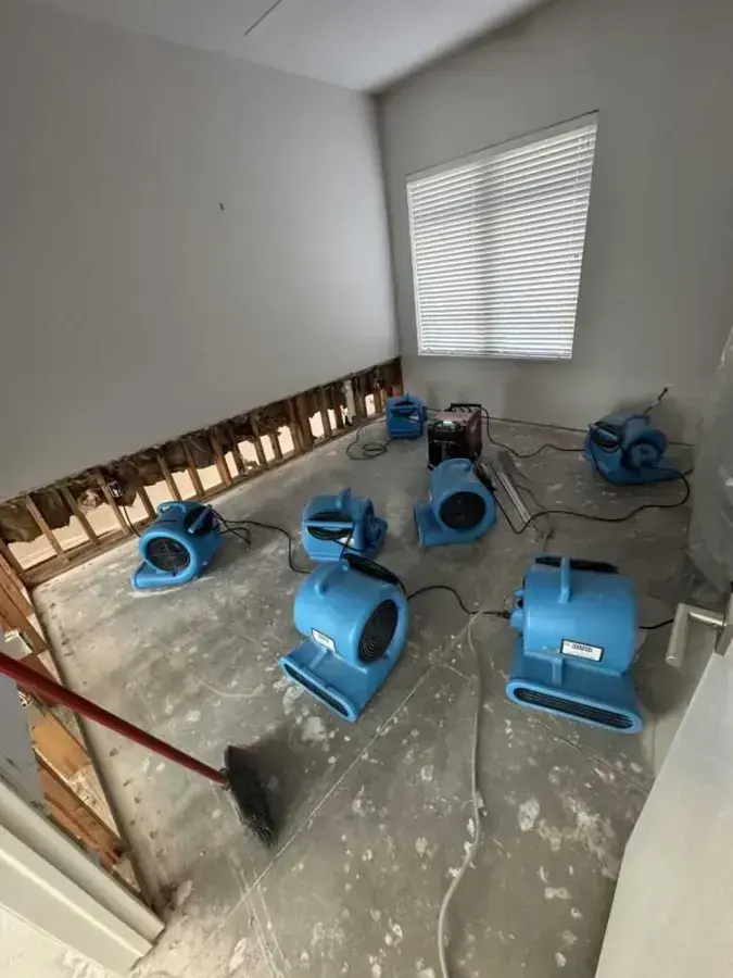 Emptied room with flood-cut drywall and air movers drying in Blue Springs