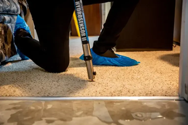 Moisture meter probe checking a wet carpet edge during a Blue Springs water damage inspection