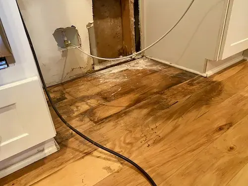 Water-stained hardwood and a supply hose where a refrigerator ice maker leaked in a Blue Springs kitchen