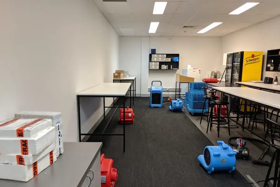Air movers and dehumidifiers drying the carpet of a Blue Springs office