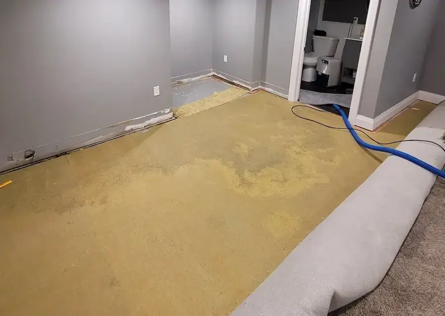 Wet carpet pulled back from a soaked pad with an extraction hose running across a basement room in Blue Springs, MO